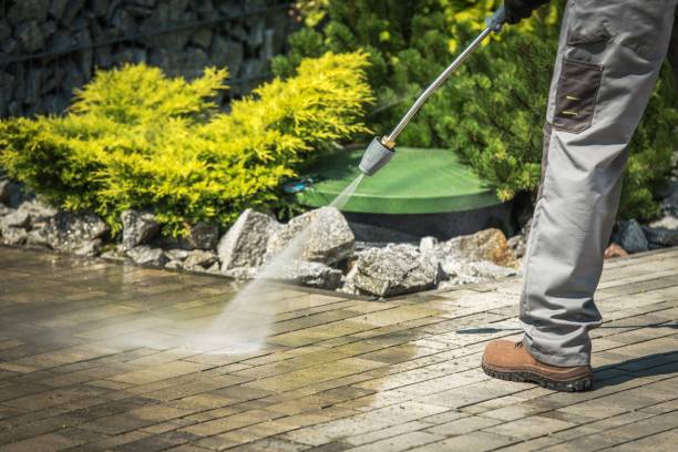 Best Pre-Holiday Cleaning  in Alderson, WV