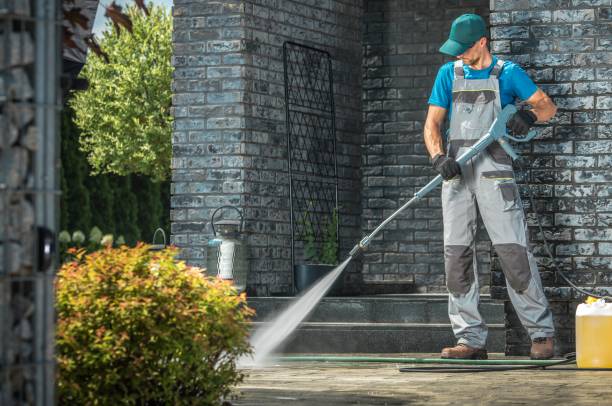 Best Soft Washing  in Alderson, WV