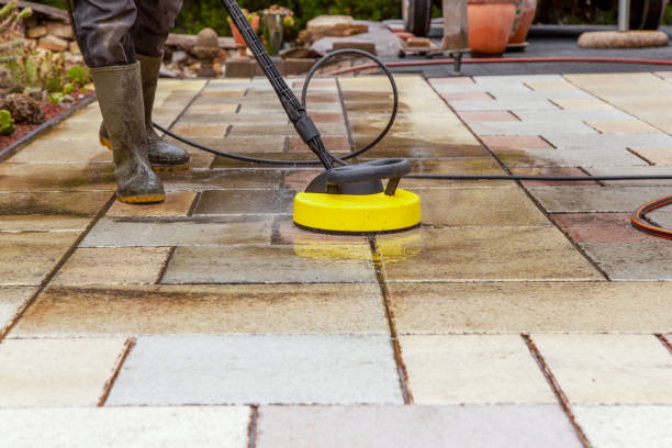 Best Sidewalk and Walkway Cleaning  in Alderson, WV